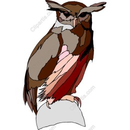 Majestic Owl