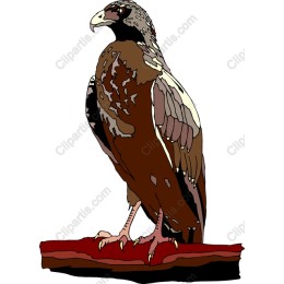 Majestic Eagle