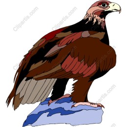 Majestic Eagle