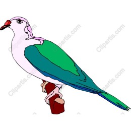 Colorful Bird Perched