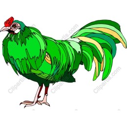 Exotic Green Rooster