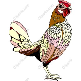 Colorful Chicken