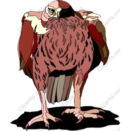 Majestic Bird