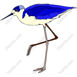 Vibrant Blue Bird
