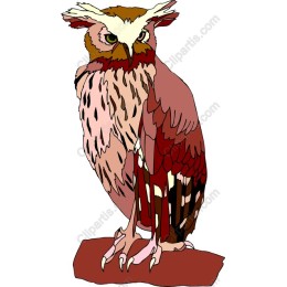 Majestic Owl