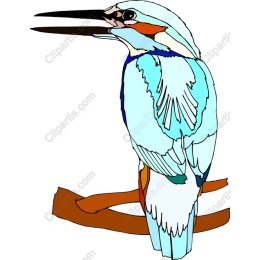 Vibrant Kingfisher