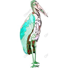 Elegant Stork