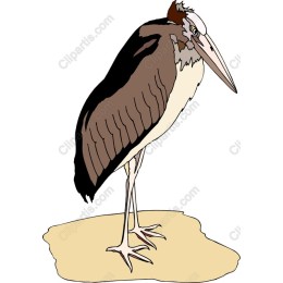 Heron