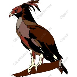 Majestic Bird