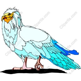 Majestic Blue and White Bird