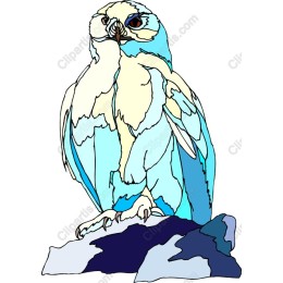 Blue Owl