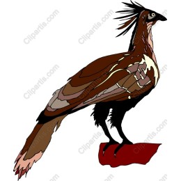Majestic Bird