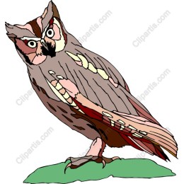 Majestic Owl