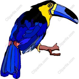 Vibrant Blue Bird
