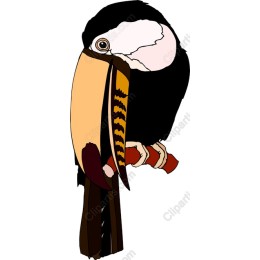 Vibrant Toucan