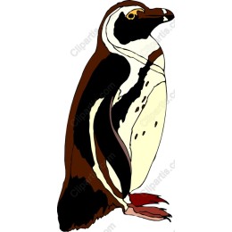 Charming Penguin