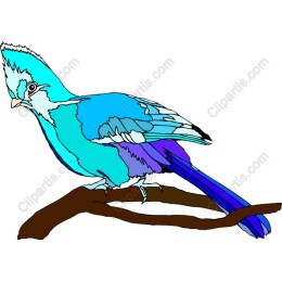 Vibrant Bird