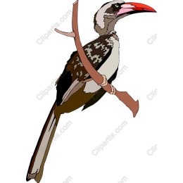 Bird on Branch