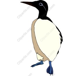 Cute Penguin