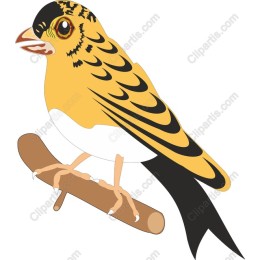 Vibrant Yellow Bird