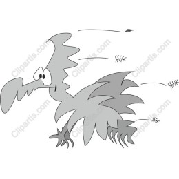 Quirky Bird