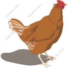 Brown Hen