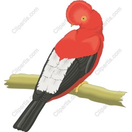 Vibrant Red Bird