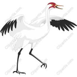 Elegant Crane