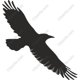 Soaring Bird