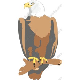 Majestic Eagle