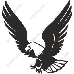 Majestic Eagle