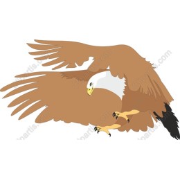 Eagle - Majestic Eagle in Flight