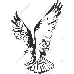 Majestic Eagle