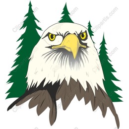 Majestic Eagle in Forest