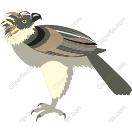 Exquisite Bird