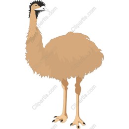 Emu