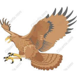 Majestic Eagle