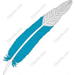 Teal Feather