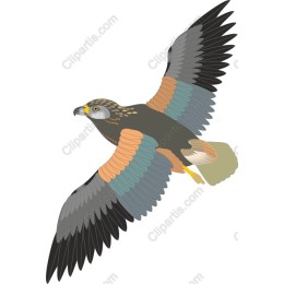 Majestic Eagle