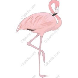 Elegant Pink Flamingo