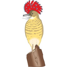Vibrant Bird with Striking Red Crest