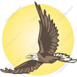 Majestic Eagle Soaring