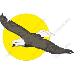 Majestic Bald Eagle in Flight