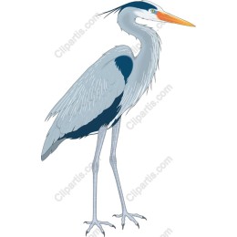 Elegant Herons