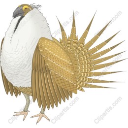 Majestic Golden Bird