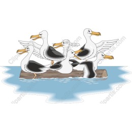 Whimsical Duck
