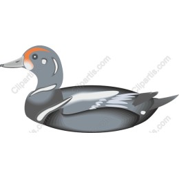 Serene Duck