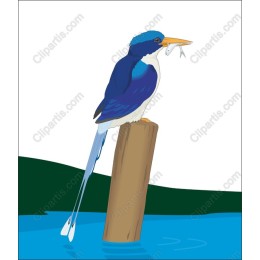Kingfisher with Fish