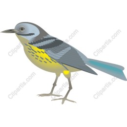Charming Bird