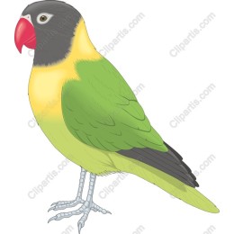 Vibrant Exotic Parrot